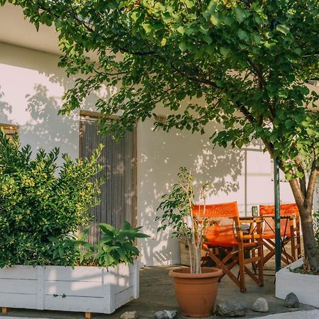 The Apricot Tree Studio Samothráki Exterior foto
